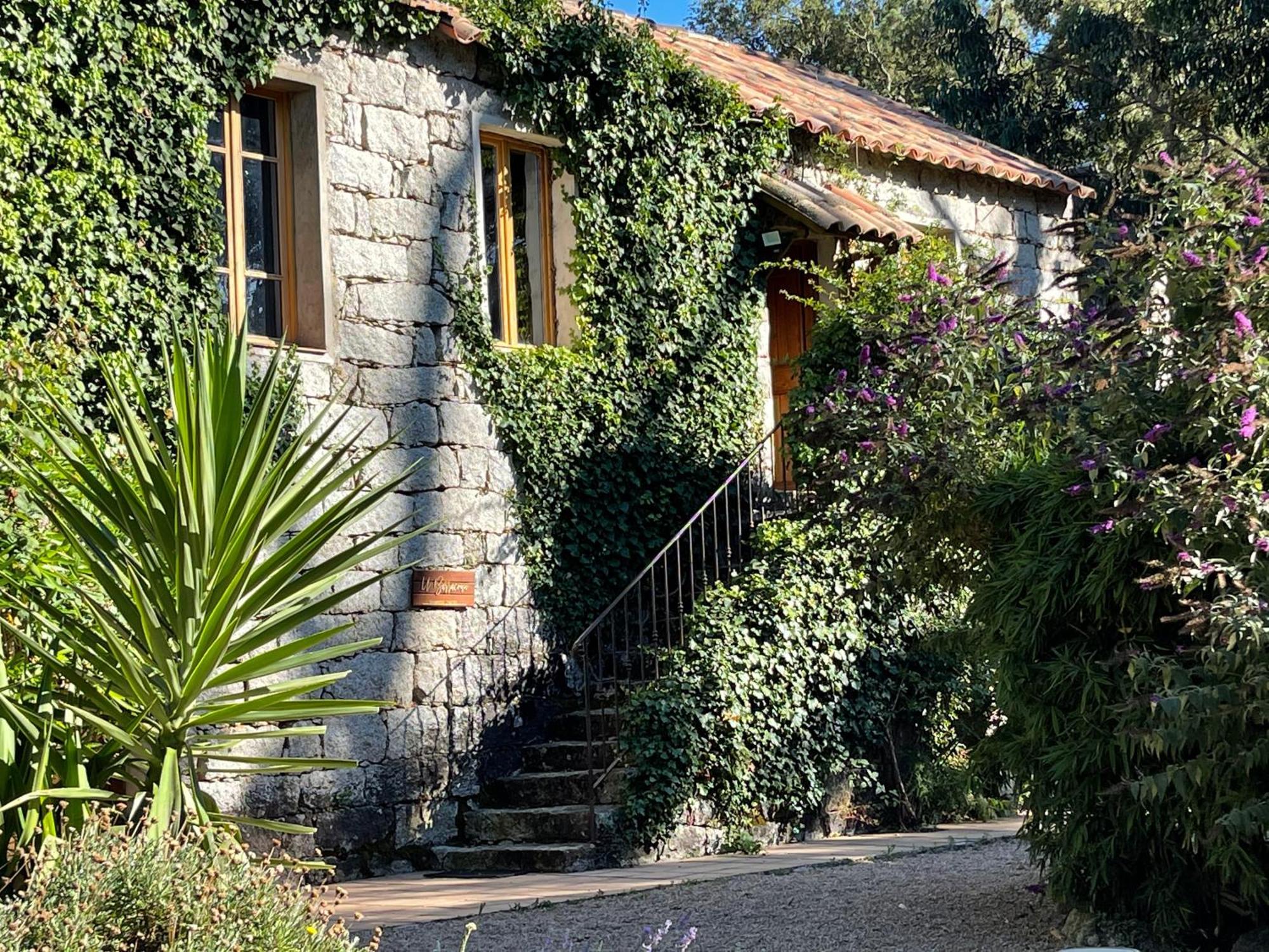 Chambres d'Hôtes Barraconu Porto-Vecchio  Exterior foto